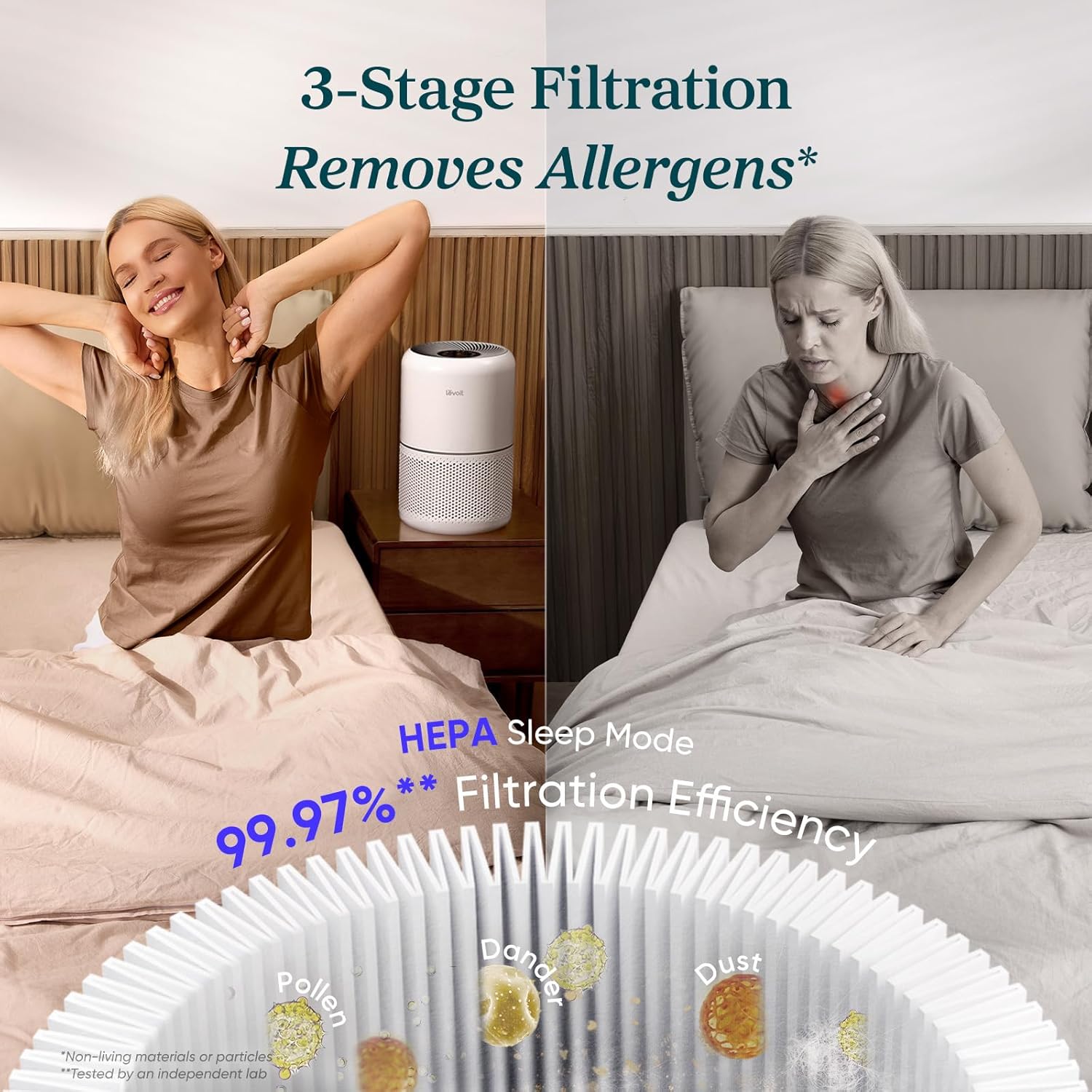 LEVOIT Air Purifier thumbnail 3